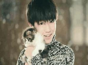 娱乐大爆料吴磊延迟毕业,娱乐大爆料背后的故事 第2张 娱乐大爆料吴磊延迟毕业,娱乐大爆料背后的故事 第2张